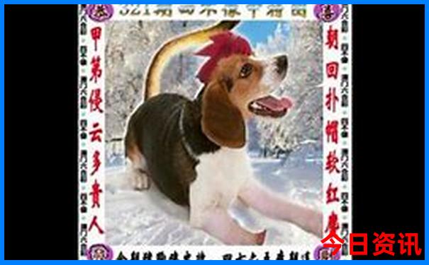 甘肃陇南市旅游景点有哪些